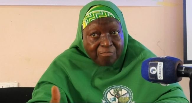 Jigawa Women Farmers Demand More Funding, Land Access Jigawa Women Farmers Demand More Funding, Land Access