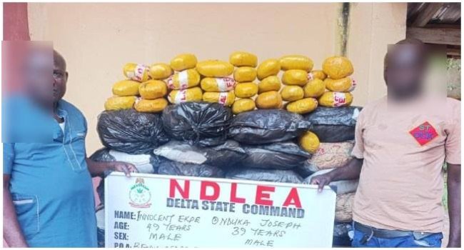 NDLEA Records N3.4bn Drug Seizures Across Nigeria NDLEA Records N3.4bn Drug Seizures Across Nigeria