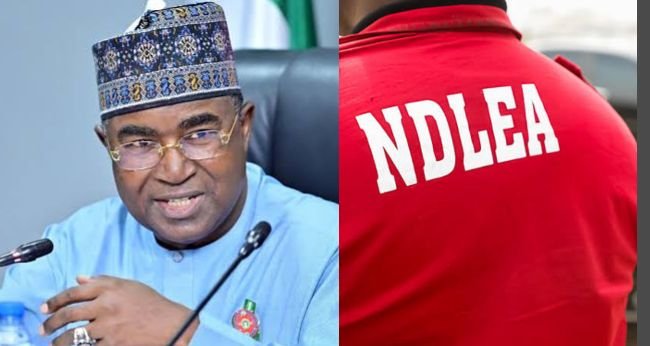 NDLEA Arrests Mexican Drug Kingpin Trying to Flee Nigeria NDLEA Arrests Mexican Drug Kingpin Trying to Flee Nigeria