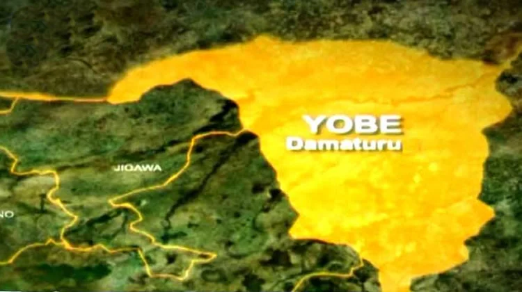Yobe Tertiary Unions Issue Fresh 15-Day Ultimatum Yobe Tertiary Unions Issue Fresh 15-Day Ultimatum